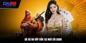 đá gà 88