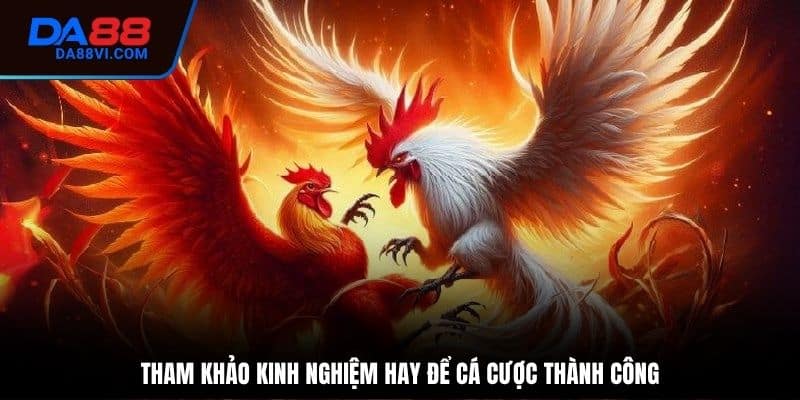 Bật mí kinh nghiệm chơi Đá gà 88 luôn luôn thắng
