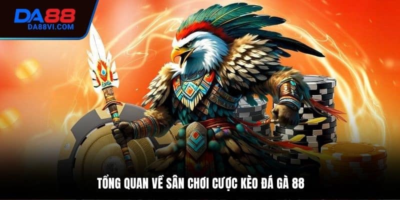 Khái quát cơ bản về sân chơi Đá gà 88