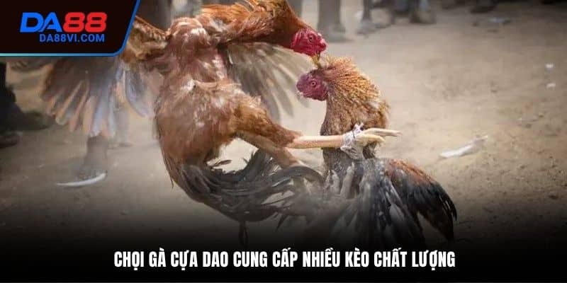 Khái niệm về đá gà cựa dao