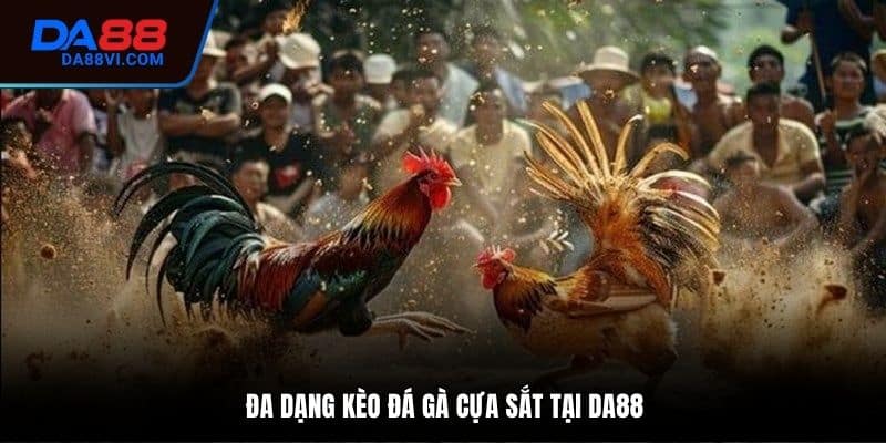 Đá gà cựa sắt là một biến thể của môn thể thao đá gà truyền thống