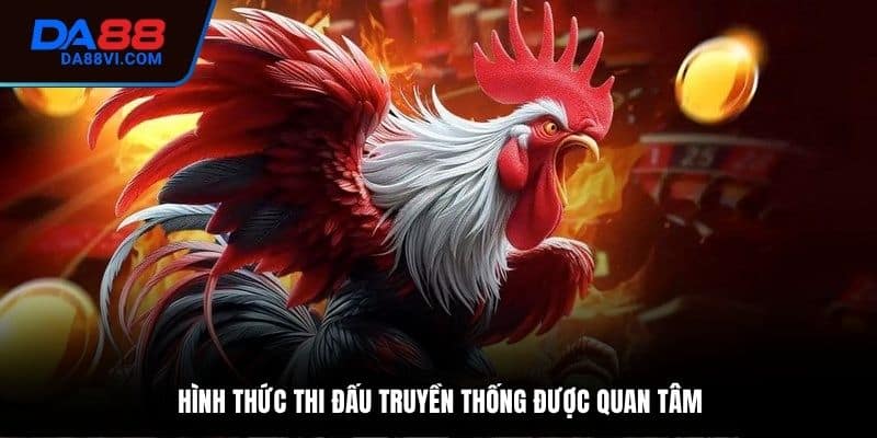 Thi đấu truyền thống nổi bật tại chuyên mục đá gà DA88