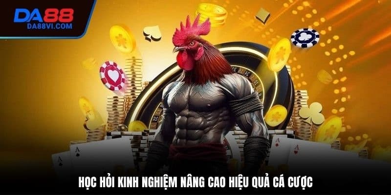 Chia sẻ kinh nghiệm để chơi đá gà thomo hiệu quả