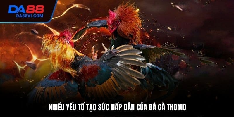 Ưu điểm khi chơi đá gà Thomo tại nhà cái