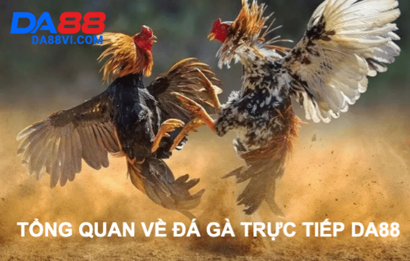 Giới thiệu về đá gà trực tiếp tại DA88